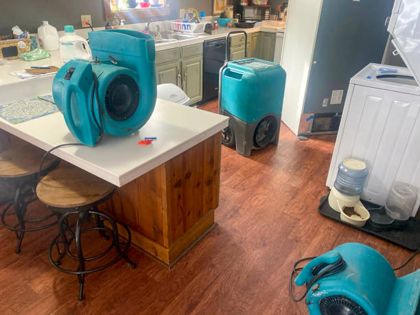 Best Water damage restoration near me  in Meeker, OK