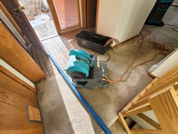Best Flood damage cleanup  in Meeker, OK
